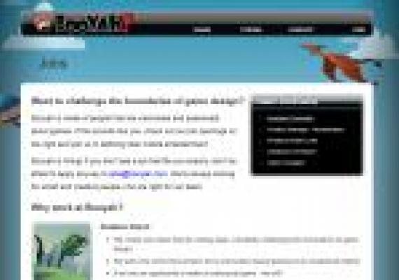 Portfolio Gallery